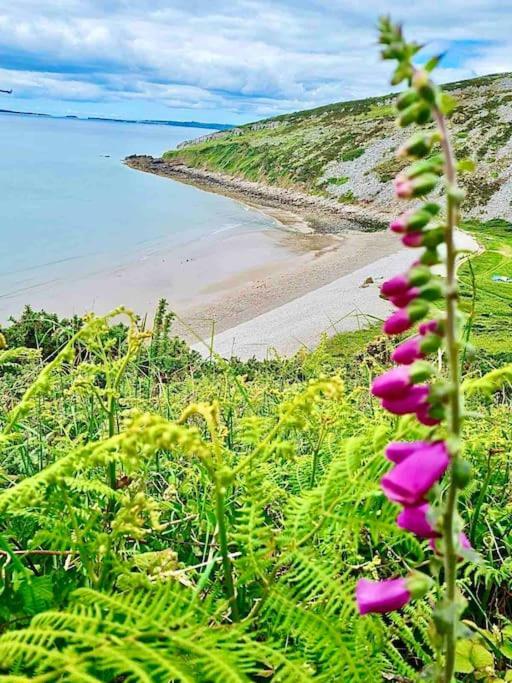 The Mermaids Watch Pendine Dog Friendly With Cymru Holidays Bagian luar foto